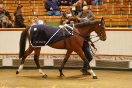 Lot  749E THIT 1466Tattersalls