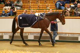 Lot  749G THIT 1319Tattersalls