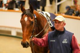 Lot  749G THIT 1343Tattersalls