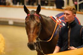 Lot  752 THIT 1658Tattersalls