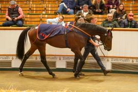 Lot  752 THIT 1669Tattersalls