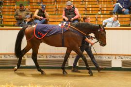 Lot  752 THIT 1673Tattersalls