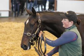 Lot  755 TBK2 3534Tattersalls