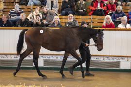 Lot  75 TBK1 2444Tattersalls