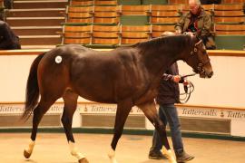 Lot  760 T B K2 2874 Tattersalls