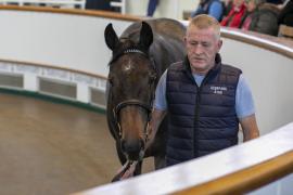 Lot  805 TBK2 3851Tattersalls