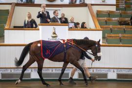 Lot  805 THIT 2242Tattersalls