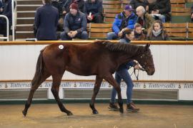 Lot  812 TDF 2773Tattersalls