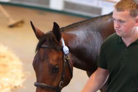 Lot  837 T B K2 841 Tattersalls