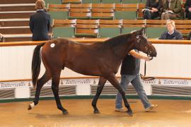 Lot  851 T Bk2 0460 Tattersalls