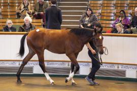 Lot  85 TBK1 2656Tattersalls