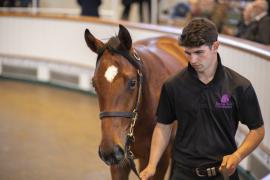 Lot  85 TBK1 2717Tattersalls