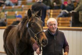 Lot  871 TDF 3783Tattersalls