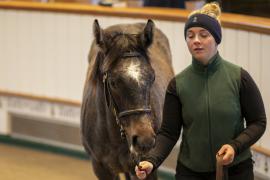 Lot  877 TDF 3952Tattersalls