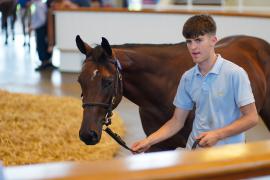 Lot  87 TSS561Tattersalls