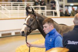 Lot  880 TBK2 4654Tattersalls