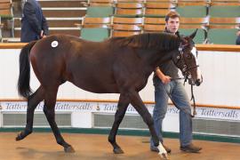 Lot  891 T Bk2 0821 Tattersalls