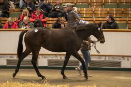 Lot  898 TBK2 4928Tattersalls