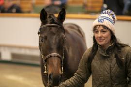 Lot  898 TBK2 5009Tattersalls