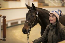 Lot  898 TBK2 5051Tattersalls