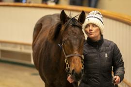 Lot  903 TDF 5171Tattersalls