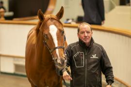 Lot  904 TBK2 5229Tattersalls