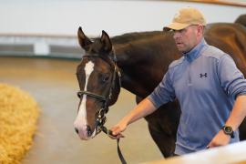 Lot  92A TSS680Tattersalls