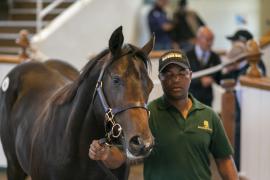 Lot  92 TBK1 2874Tattersalls