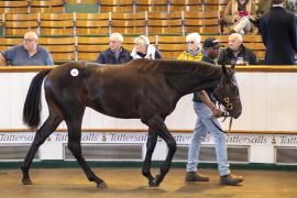 Lot  92 TBK1 2887Tattersalls