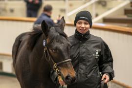 Lot  937 TDF 6860Tattersalls