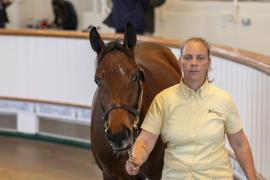 Lot  93 TBK1 3018Tattersalls