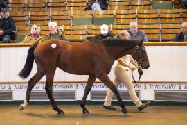 Lot  93 TBK1 3056Tattersalls