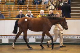 Lot  93 TBK1 3095Tattersalls