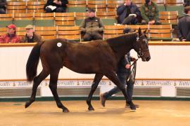 Lot  944 TBK2 5166Tattersalls