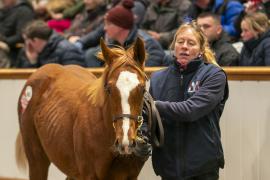 Lot  945 TDF 7189Tattersalls