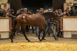 Lot  959 TBK2 5930Tattersalls