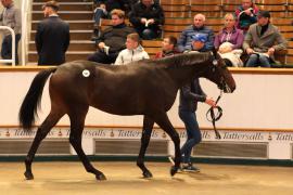 Lot  963 TBK2 5459Tattersalls