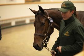 Lot  963 TBK2 6137Tattersalls