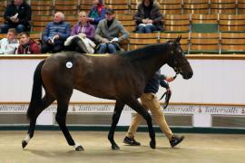 Lot  964 TBK2 5530Tattersalls