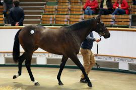 Lot  964 TBK2 5542Tattersalls