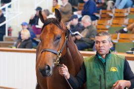 Lot  993 TBK2103Tattersalls