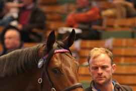 Lot  997 T Bk2 1640 Tattersalls