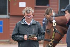 Mark Johnston T B K1 V0740 Tattersalls