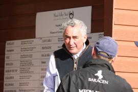 Mark Weinfeld T B10974 Tattersalls