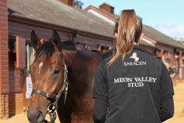 Meon Jacket T B10748 Tattersalls