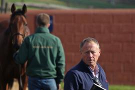 Patrick Cooper T B11098 Tattersalls