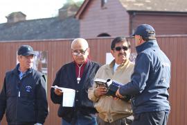 Sheikh Hamdan Al Maktoum T B11067 Tattersalls