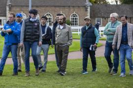 Sheikh Mohammed 3142 TBK1Tattersalls