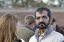 Sheikh Mohammed T O10953 Tattersalls