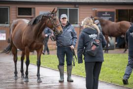 Terry Doherty TDM 0821Tattersalls